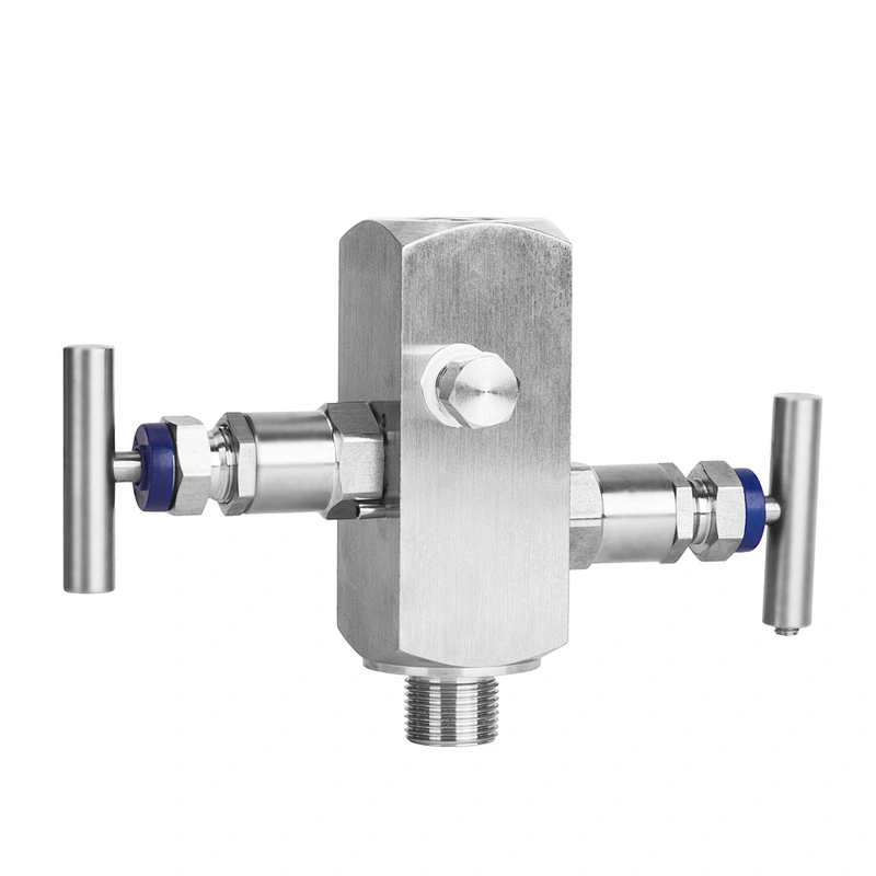 Manifold