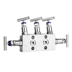 Manifold