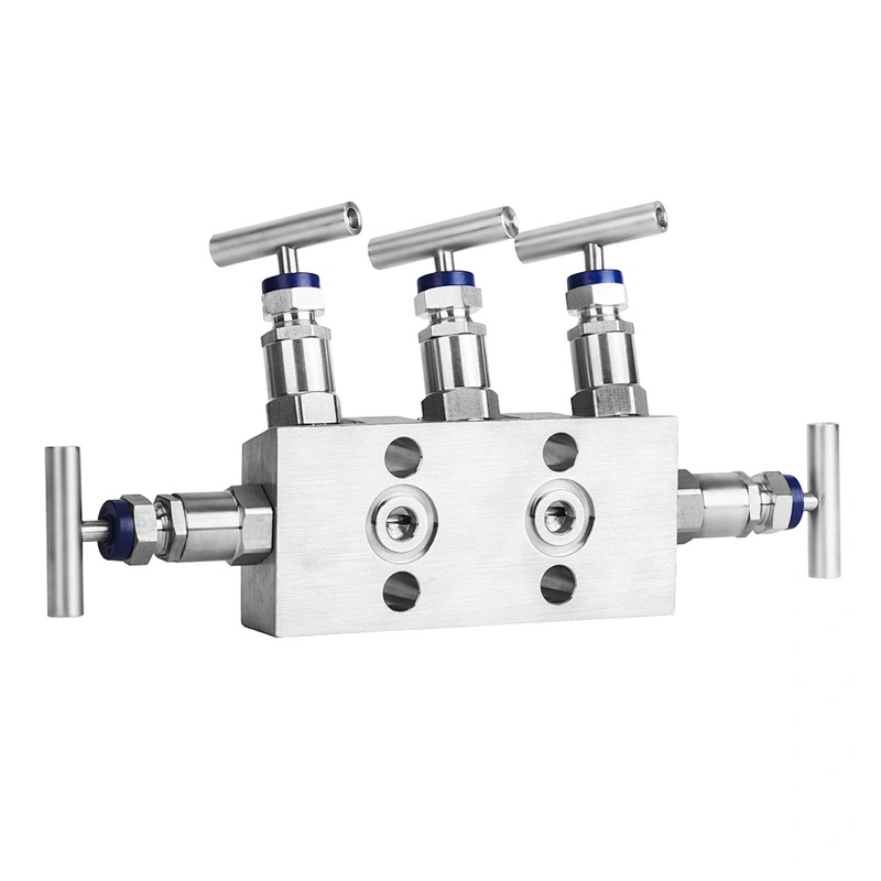 Manifold