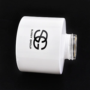 Wholesales light spray white color glass diffuser bottle perfume bottle