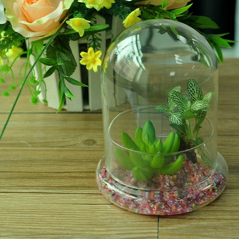 Glass Candle Holder with Dome Cover Home Decor