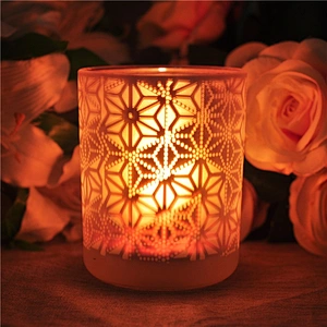 10oz Customized frosted mercury Glass aroma candle holder