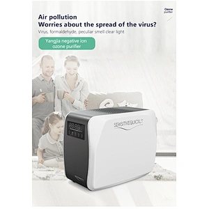 2020 Antiviral 10g 110w Portable Sterilized Ozone Generator Air Purifier Ozonizer Sterilizer