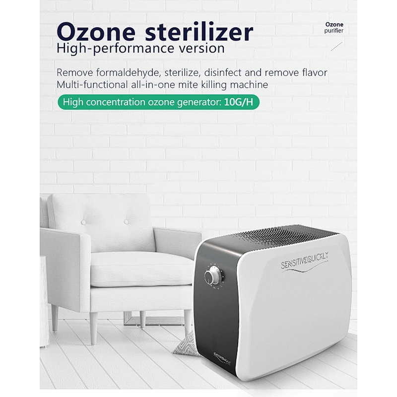 Factory direct mini ozone generator 110v / 220v ozone generator air purifier 10G Ozone Sterilization