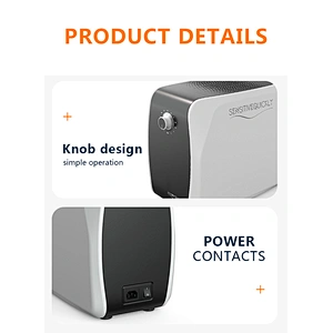 Factory direct mini ozone generator 110v / 220v ozone generator air purifier 10G Ozone Sterilization