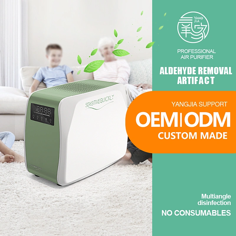 10g/H Air Sterilizer Ozone Generator Space Disinfection
