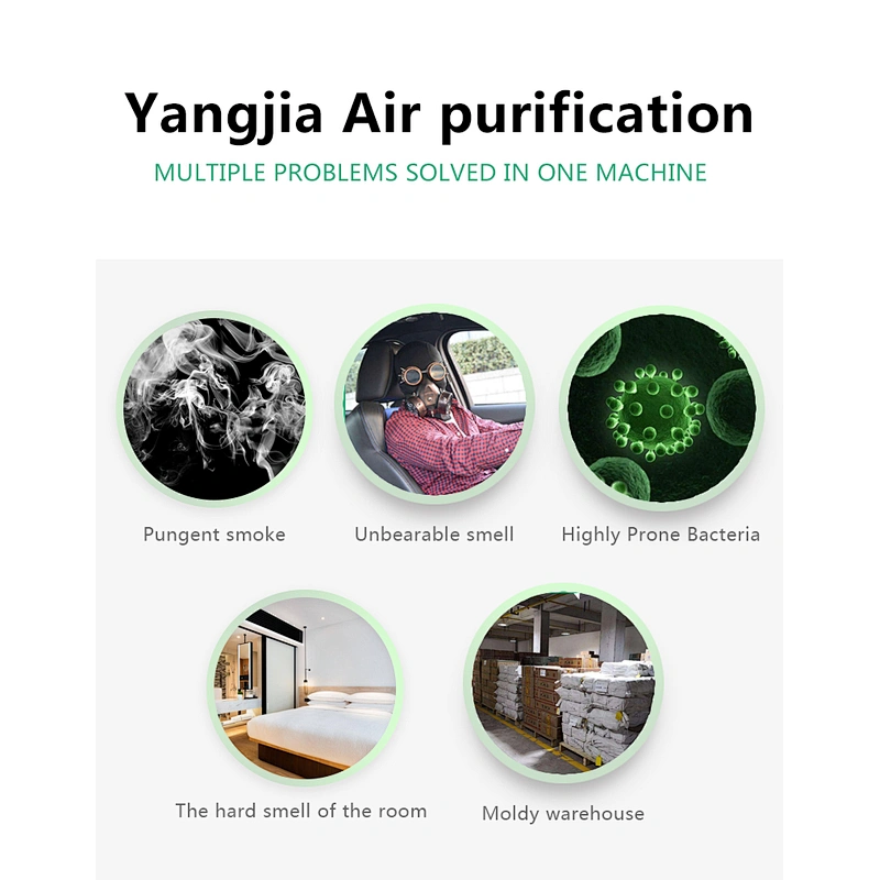 CE 10G Sterilizer Home Ozone 110V 220V Air Purifier Knob Hotel Hospital air sterilizer purifier