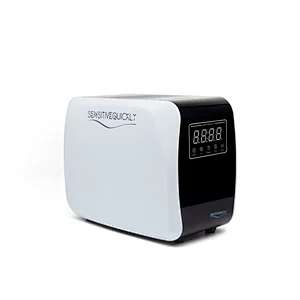 Ozone Air Purifier Remove Formaldehyde PM2.5 Portable Air 10g Ozone Sterilizer