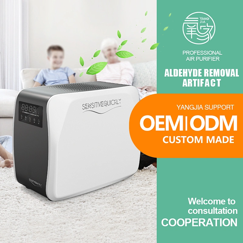Factory Commercial Air Ozone Generator 10g  Air Purifier Natural Odor Remover