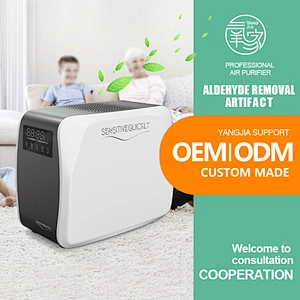 Ozone Generator For Space Room Car Hotel Professional Portable 10G Ozone Machine Fast Diffusion