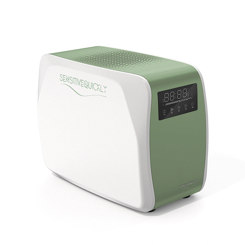 10g/H Air Sterilizer Ozone Generator Space Disinfection