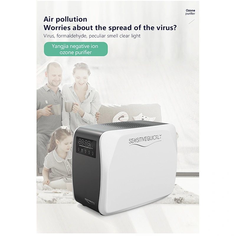 10G Ozone Generator Air Sterilizer AC 110V 220V Double Ceramic Plate Ozonizer with Fan