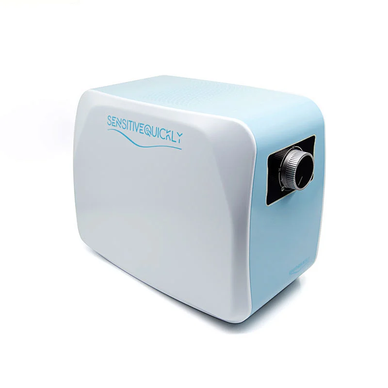 Factory direct mini ozone generator 110v / 220v ozone generator air purifier 10G Ozone Sterilization