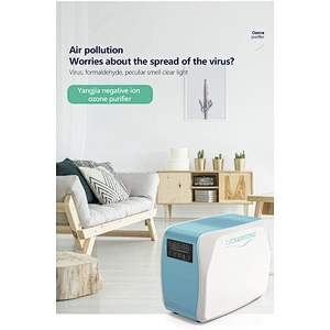 220v Professional 10g Ozone Sterilizer Remove Dust odors Deodorizer Ozone generator Air Purifier