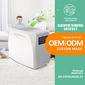 Sterilization disinfection professional Small ozone generator 10g/h