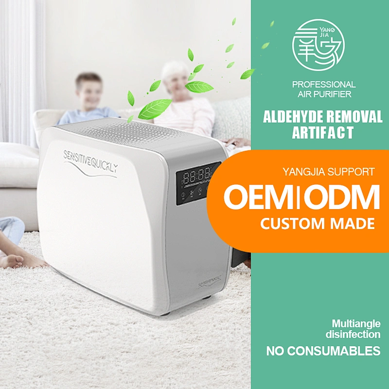 Sterilization disinfection professional Small ozone generator 10g/h