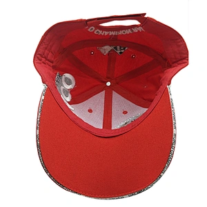 Custom Embroidery Logo 6 Panel Cotton Cycling Baseball Cap Hat