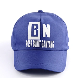 Promotional cheap 100%polyster hat 5 panel print baseball caps