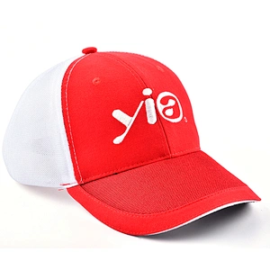 Free Sample Professional Supply OEM ODM 3D Embroidery Cotton Baseball Cap