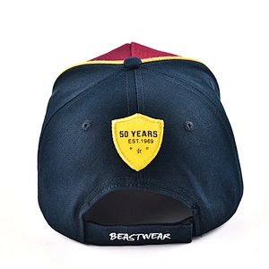 Professional Factory Free Sample Embroidery Baseball Caps Hats