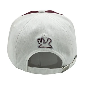 High quality baseball caps 6 panel baseball cap Cotton cap