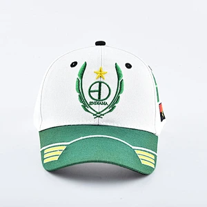 Fashion custom 100% Cotton embroidered baseball cap
