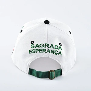 Fashion custom 100% Cotton embroidered baseball cap
