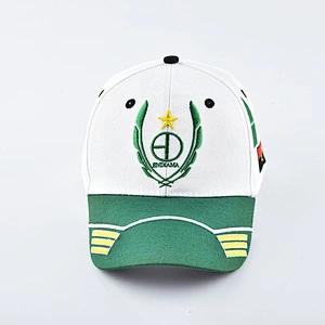 Fashion custom 100% Cotton embroidered baseball cap
