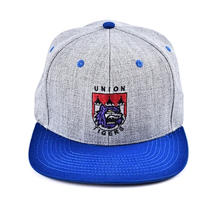 Embroidery logo flat bill hats grey  fabric boys snapback caps