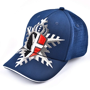 customized made cotton t Multi-Panel Hat sports baseball cap and hat with embroidery and logo