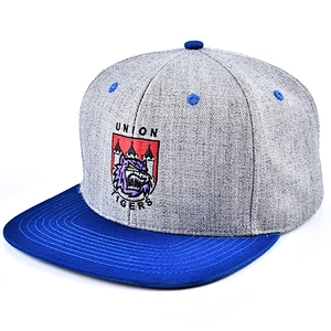 Embroidery logo flat bill hats grey  fabric boys snapback caps