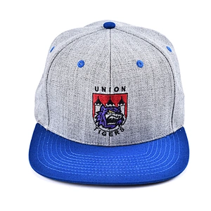 Fashion truker Hat sports baseball cap and hat with embroidery and logo