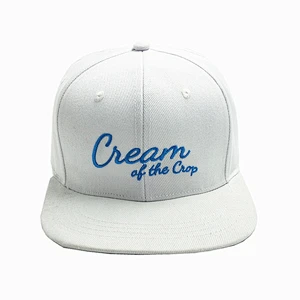 wholesale High quality Snapback hats with embroidered logo snapback