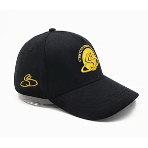 High quality baseball cap with Embroidered logo 5 panel baseball cap
