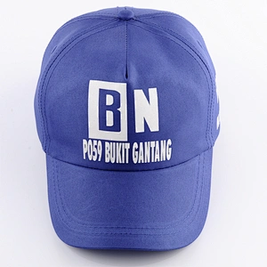 Promotional cheap 100%polyster hat 5 panel print baseball caps