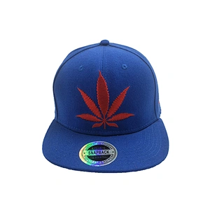 Flat Bill 5 Panel 3D Embroidered Logo Mens Baseball Cap Sports Snapback Hats