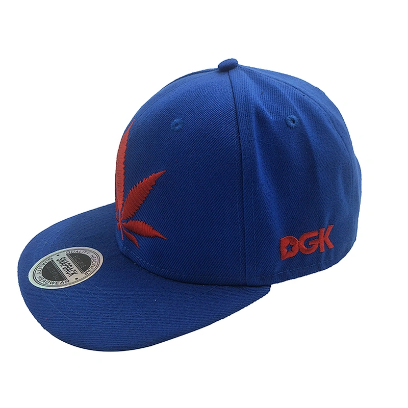 Flat Bill 5 Panel 3D Embroidered Logo Mens Baseball Cap Sports Snapback Hats