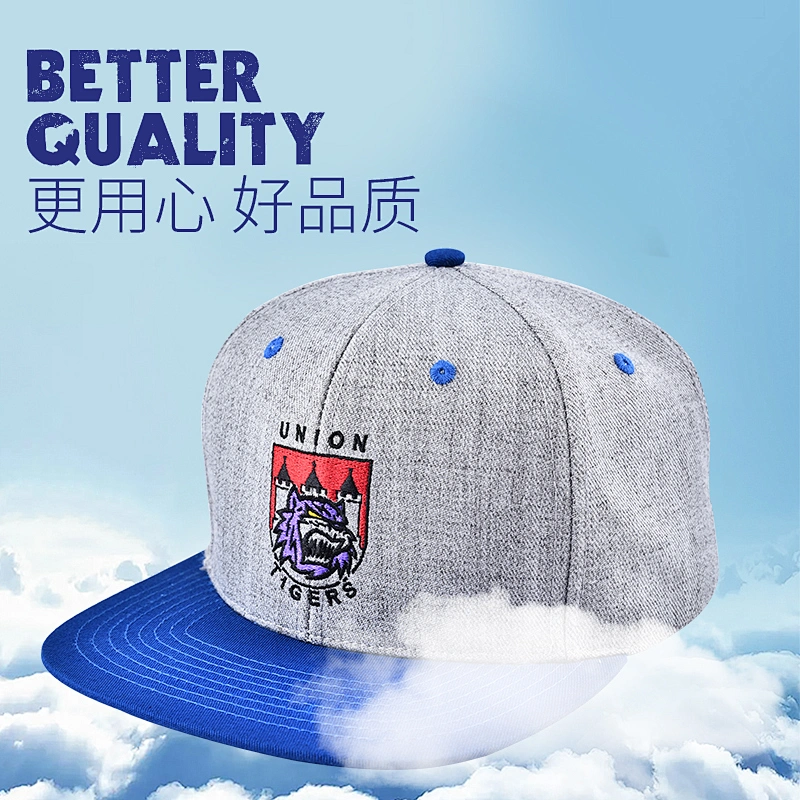Embroidery logo flat bill hats grey  fabric boys snapback caps