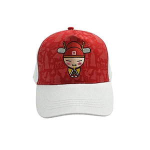 Wholesale hats with Embroidered logo 5 panel baseball cap