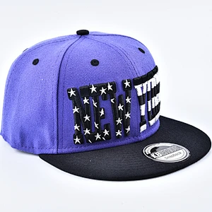 Custom Logo  Flat Brim 6 Panel Snapback Hats Sport Caps