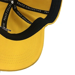SEDEX caps hats men cotton baseball hats custom logo dad hat caps