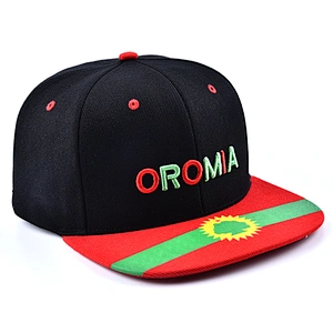 Good saling Snapback hats Embroidered logo snapback Sports snapback