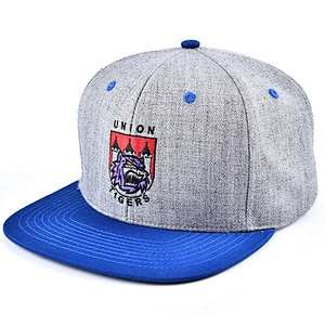 Fashion truker Hat sports baseball cap and hat with embroidery and logo