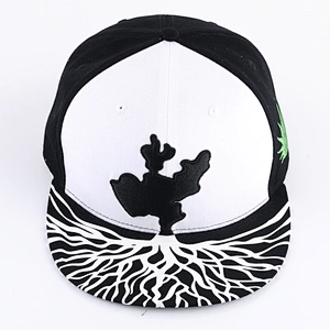 China Manufacturer Men Snapback Caps 3D Embroidery Gorras Sport Caps