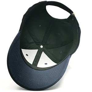 Hot Selling Custom 3D Embroidery Outdoor 100% Cotton Cheap Baseball Cap