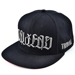 fashion trukerl Hat sports baseball cap and hat with 3D embroidery and logo
