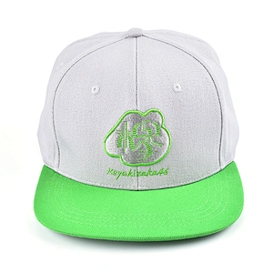 Fashion truker Hat sports baseball cap and hat with logo