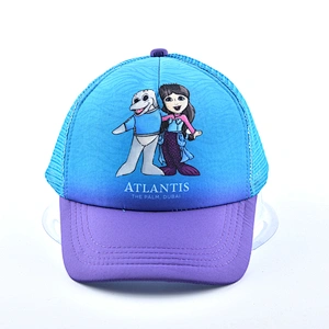 Classic Sports Baseball Cap And Hat With Embroidery And Logo wholesale factory price