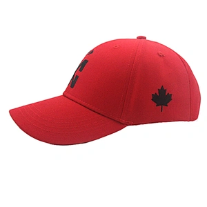 Custom 6 Panel Curved  Bill Baseball Dad Cap and Hat