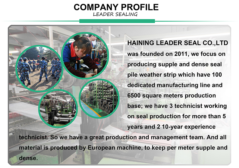 company profile